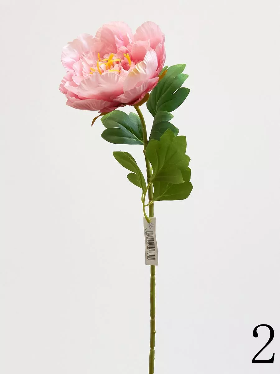Пион 780088  Интернет-магазин Feron Flower 