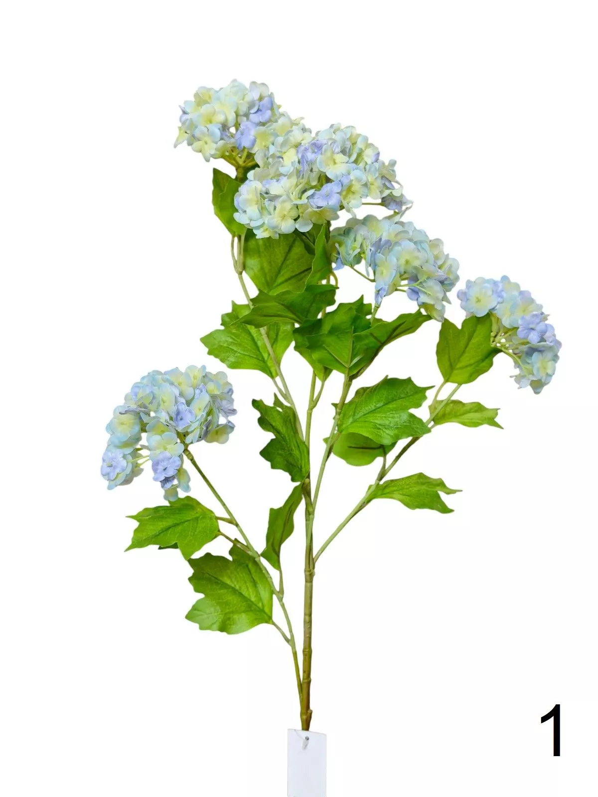 Вибурнум FL-QH001   Интернет-магазин Feron Flower 