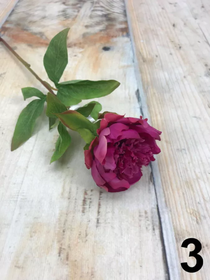 Пион GK233  Интернет-магазин Feron Flower 