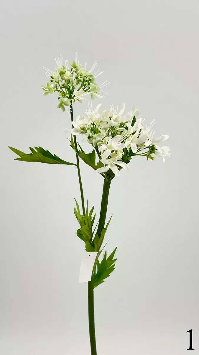 Аллиум FL-QH045  Интернет-магазин Feron Flower 