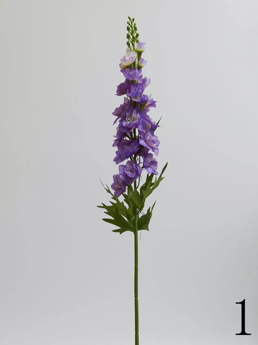 Дельфиниум SUN498  Интернет-магазин Feron Flower 
