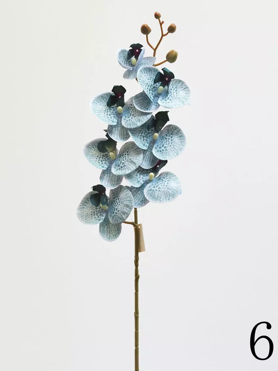 Орхидея 210157  Интернет-магазин Feron Flower 