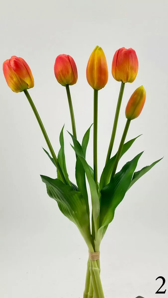 Тюльпан latex FL-QH066  Интернет-магазин Feron Flower 