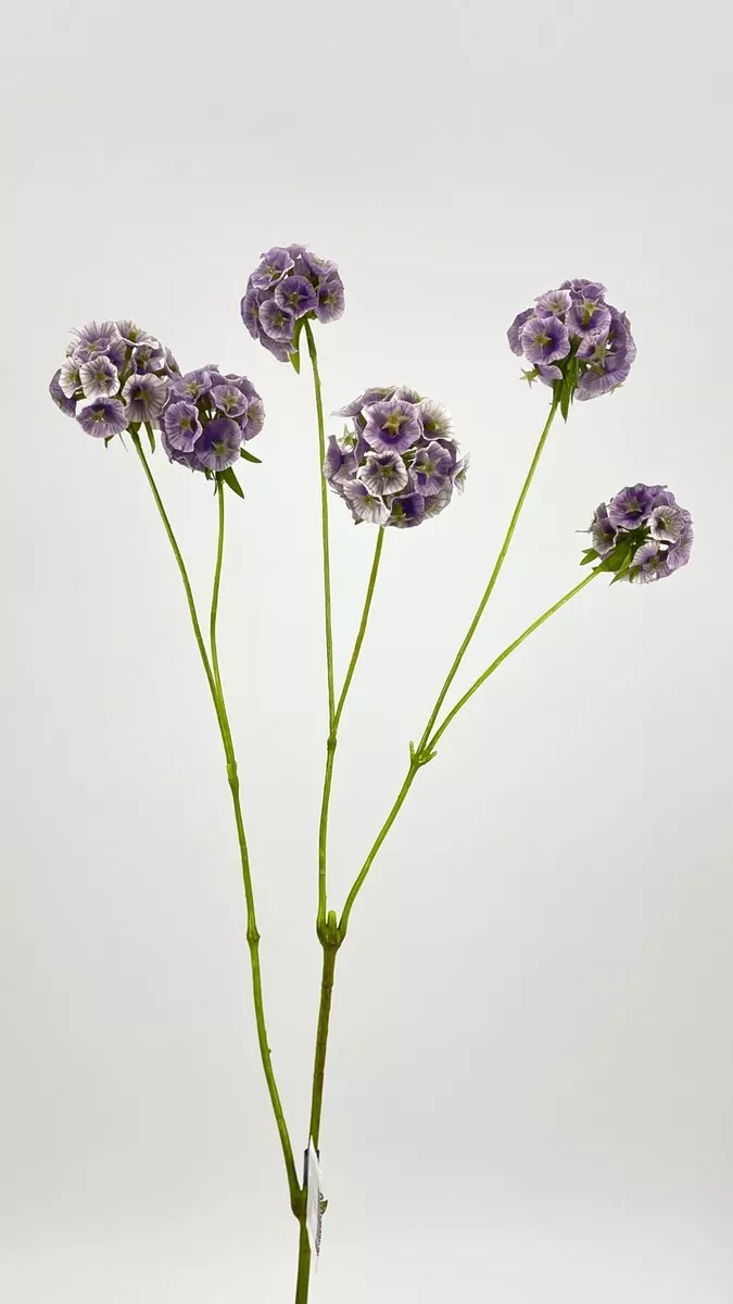 Лук 716012  Интернет-магазин Feron Flower 