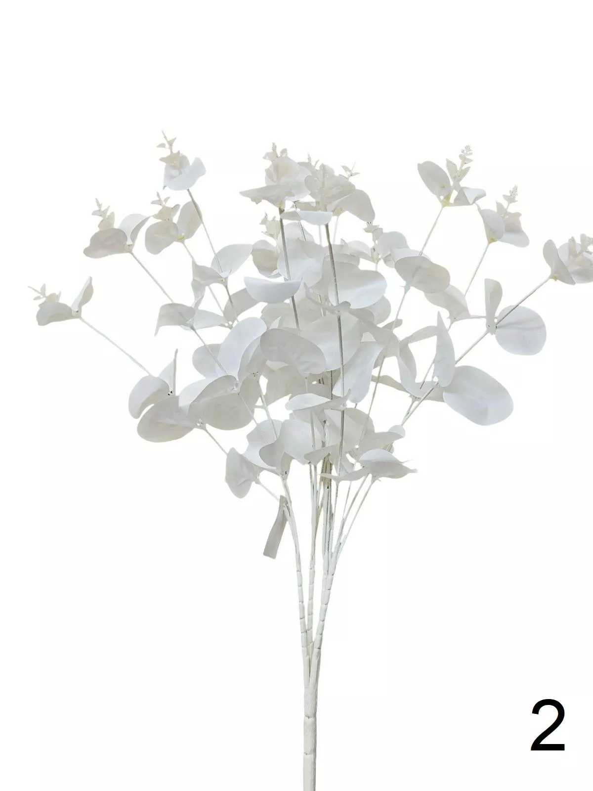 Эвкалипт 0016-1289  Интернет-магазин Feron Flower 