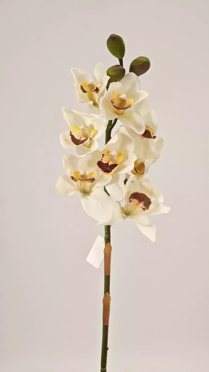 Орхидея REN-244 белый   Интернет-магазин Feron Flower 