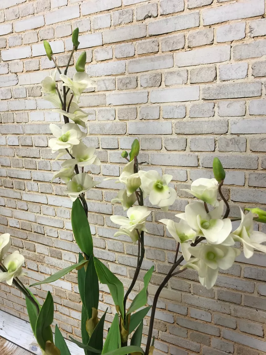 Орхидея в горшке 3544  Интернет-магазин Feron Flower 