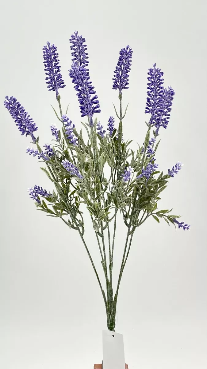 Лаванда FL-QH046  Интернет-магазин Feron Flower 