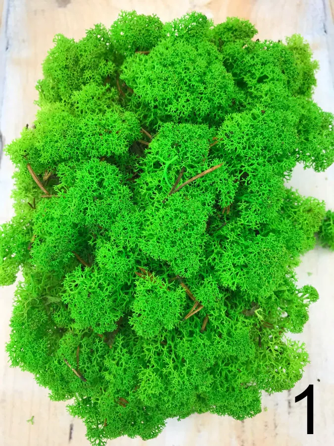 Мох L500   Интернет-магазин Feron Flower 