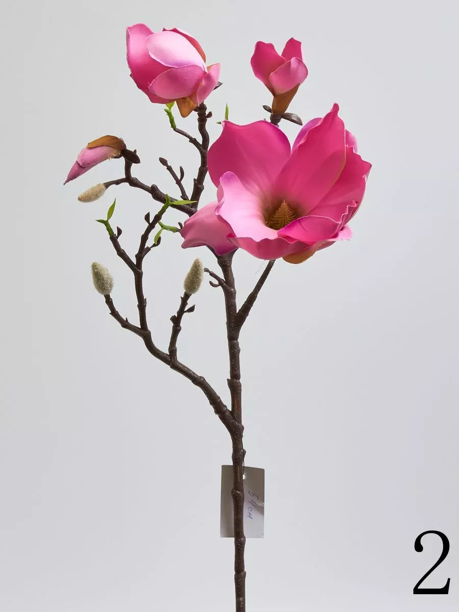 Магнолия SUN404  Интернет-магазин Feron Flower 