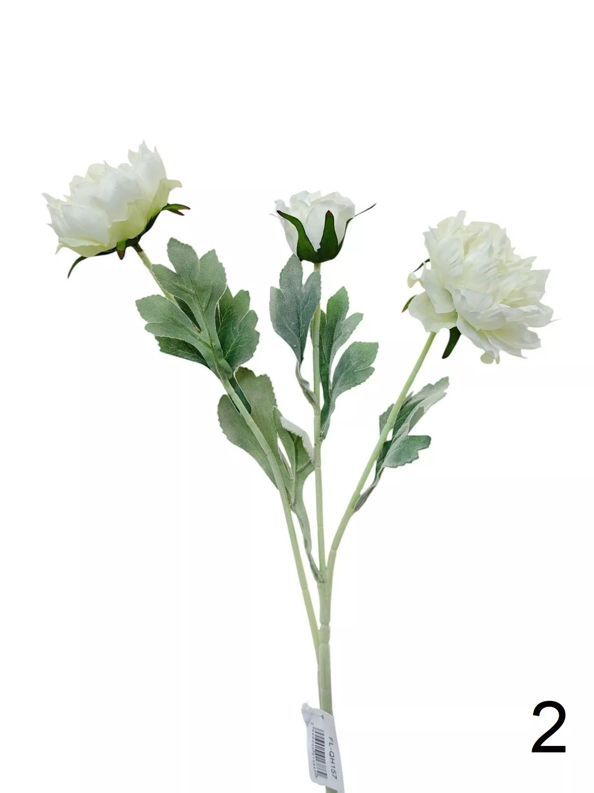 Пион FL-QH157  Интернет-магазин Feron Flower 