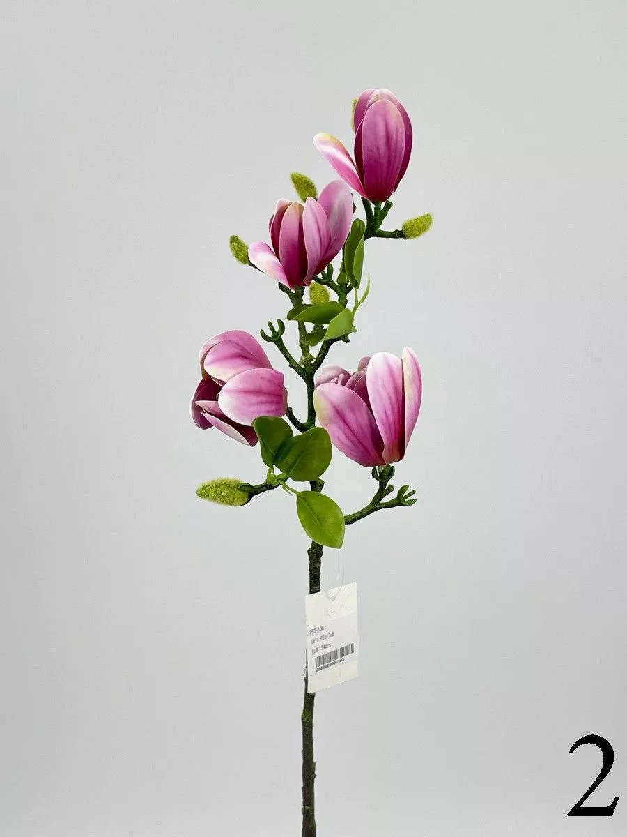 Магнолия PIO-106  Интернет-магазин Feron Flower 