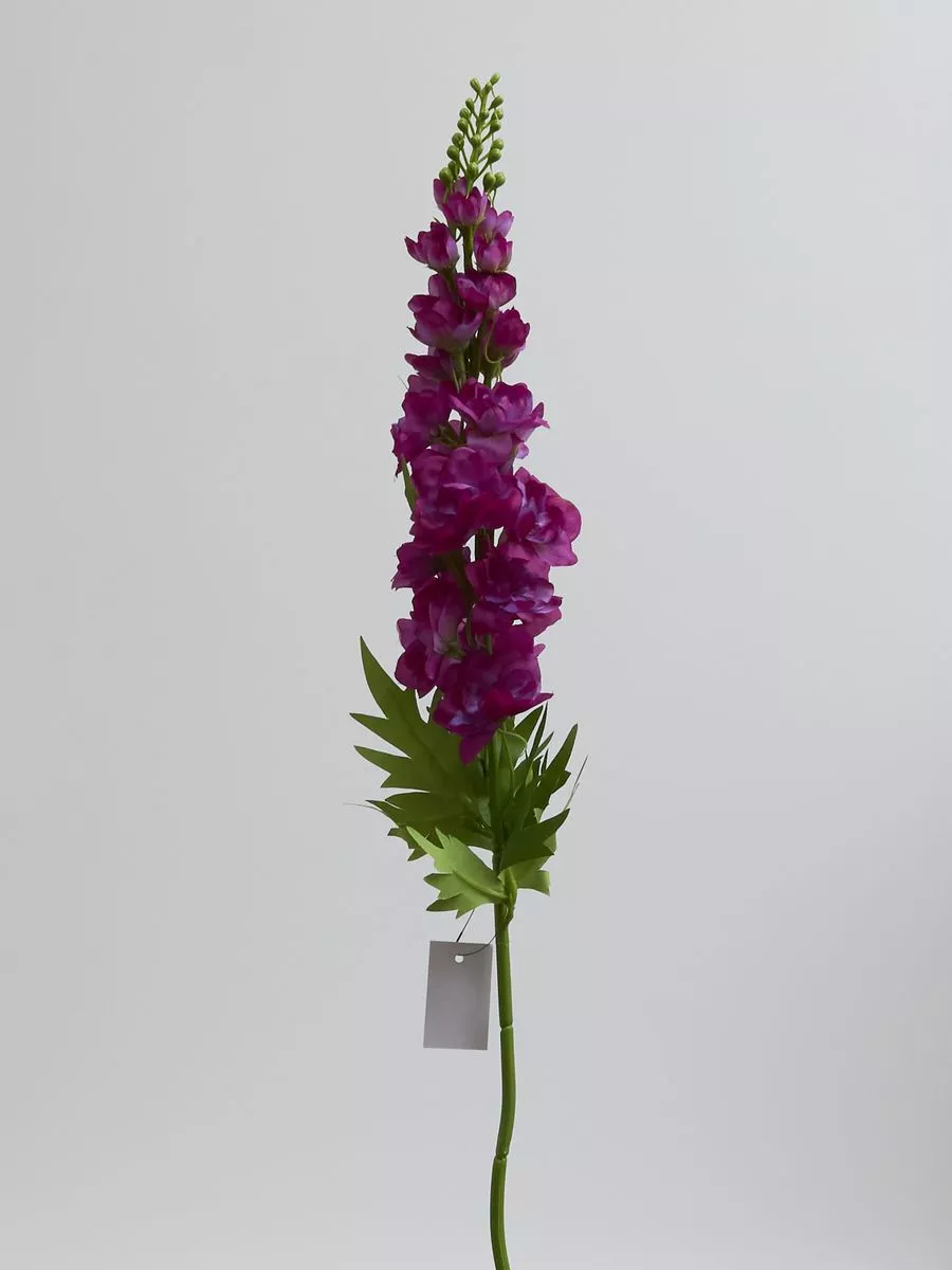 Дельфиниум SUN498  Интернет-магазин Feron Flower 