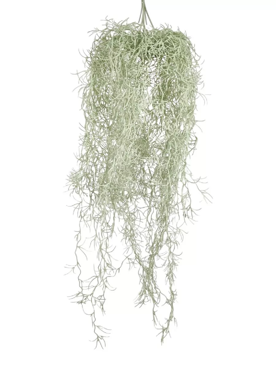 Тилансия 9165-1102  Интернет-магазин Feron Flower 