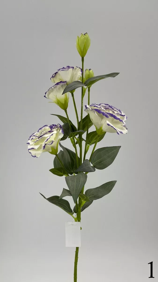 Эустома FL-QH042  Интернет-магазин Feron Flower 