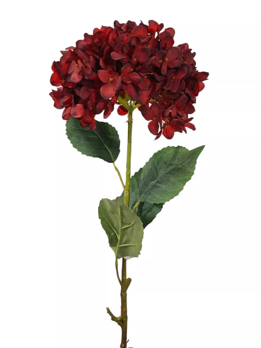 Гортензия FL-QH134  Интернет-магазин Feron Flower 