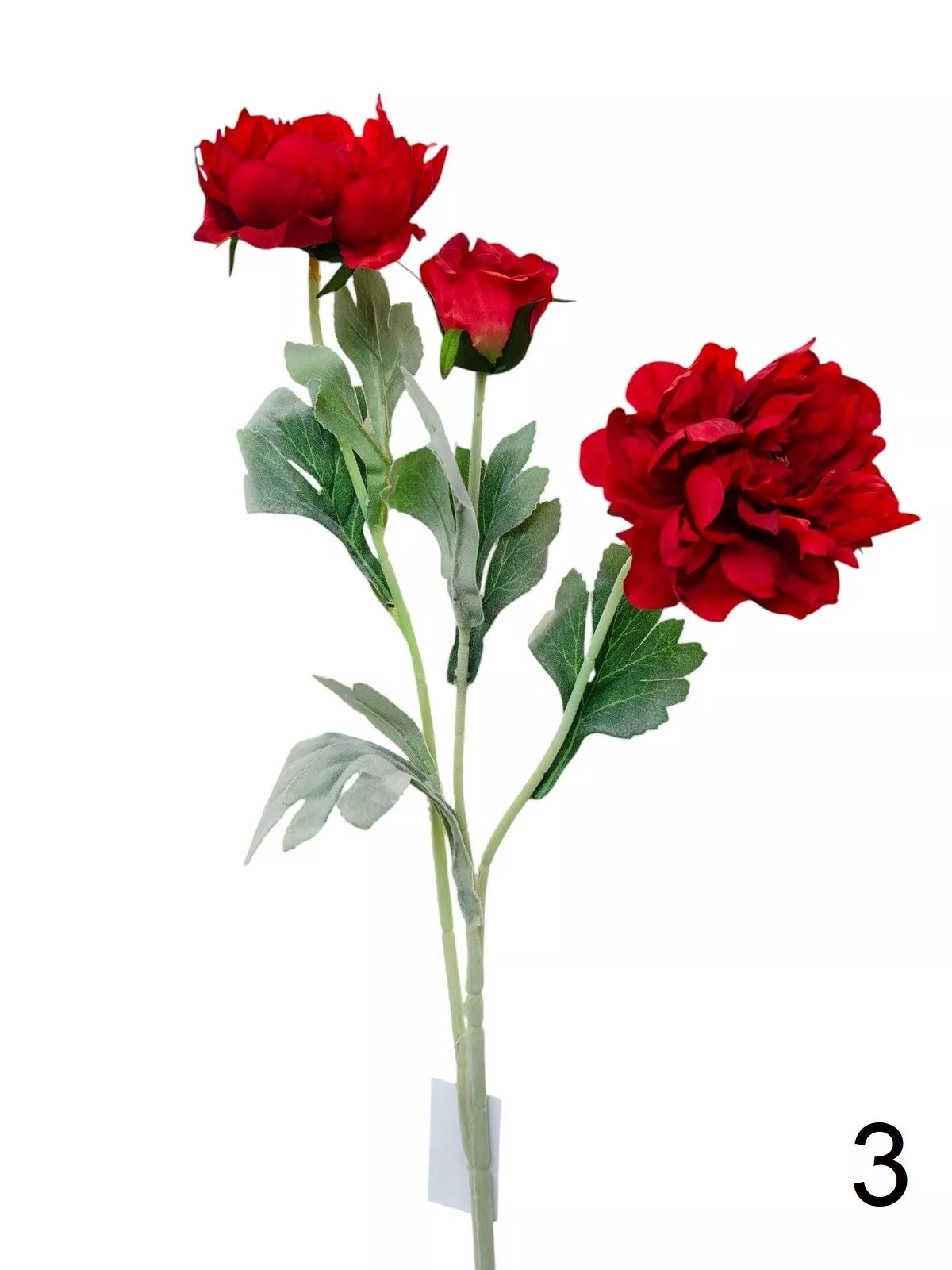 Пион FL-QH157  Интернет-магазин Feron Flower 