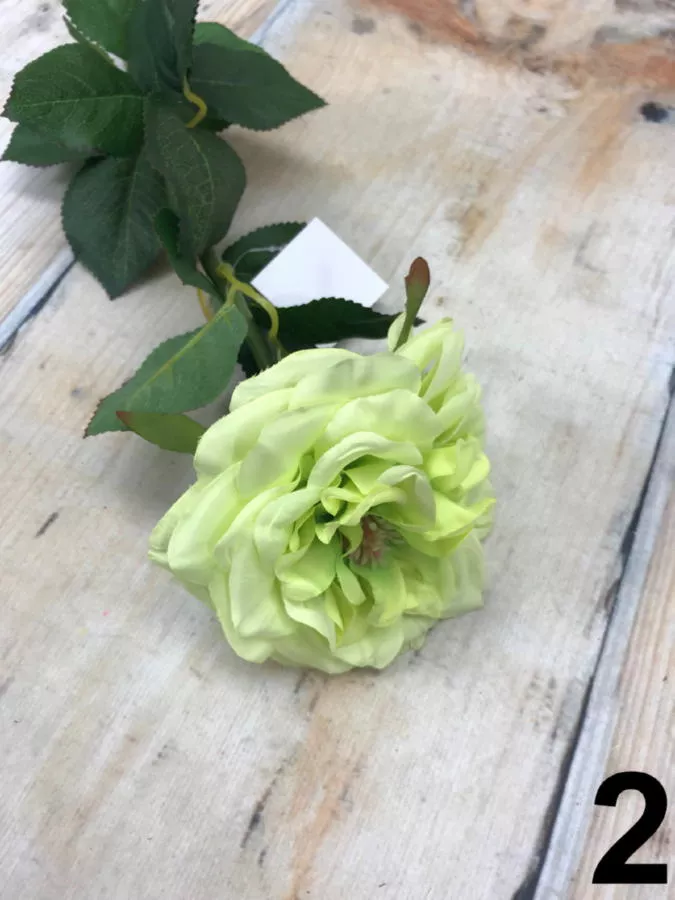 Роза K03737  Интернет-магазин Feron Flower 