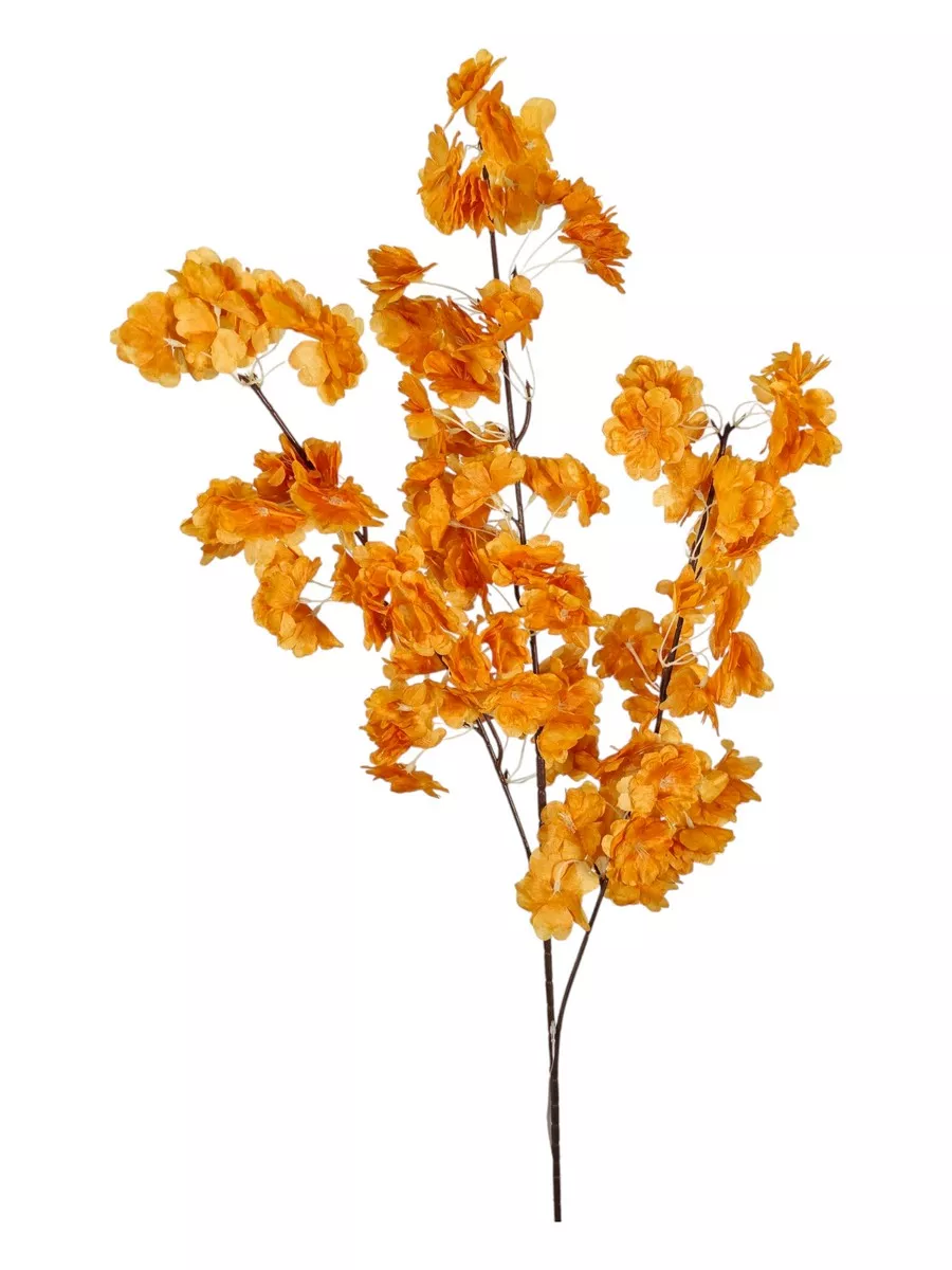 Яблонь FL-QH086  Интернет-магазин Feron Flower 