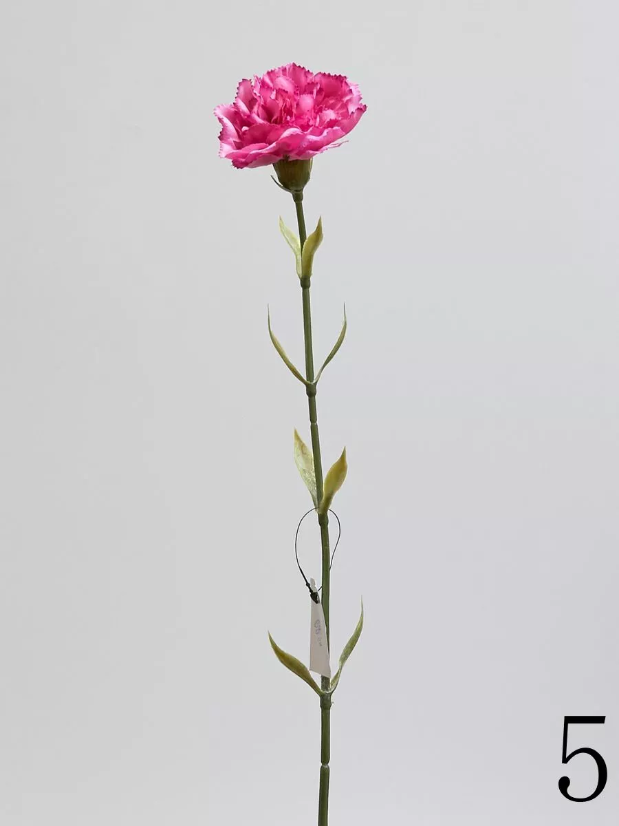 Гвоздика SUN005  Интернет-магазин Feron Flower 