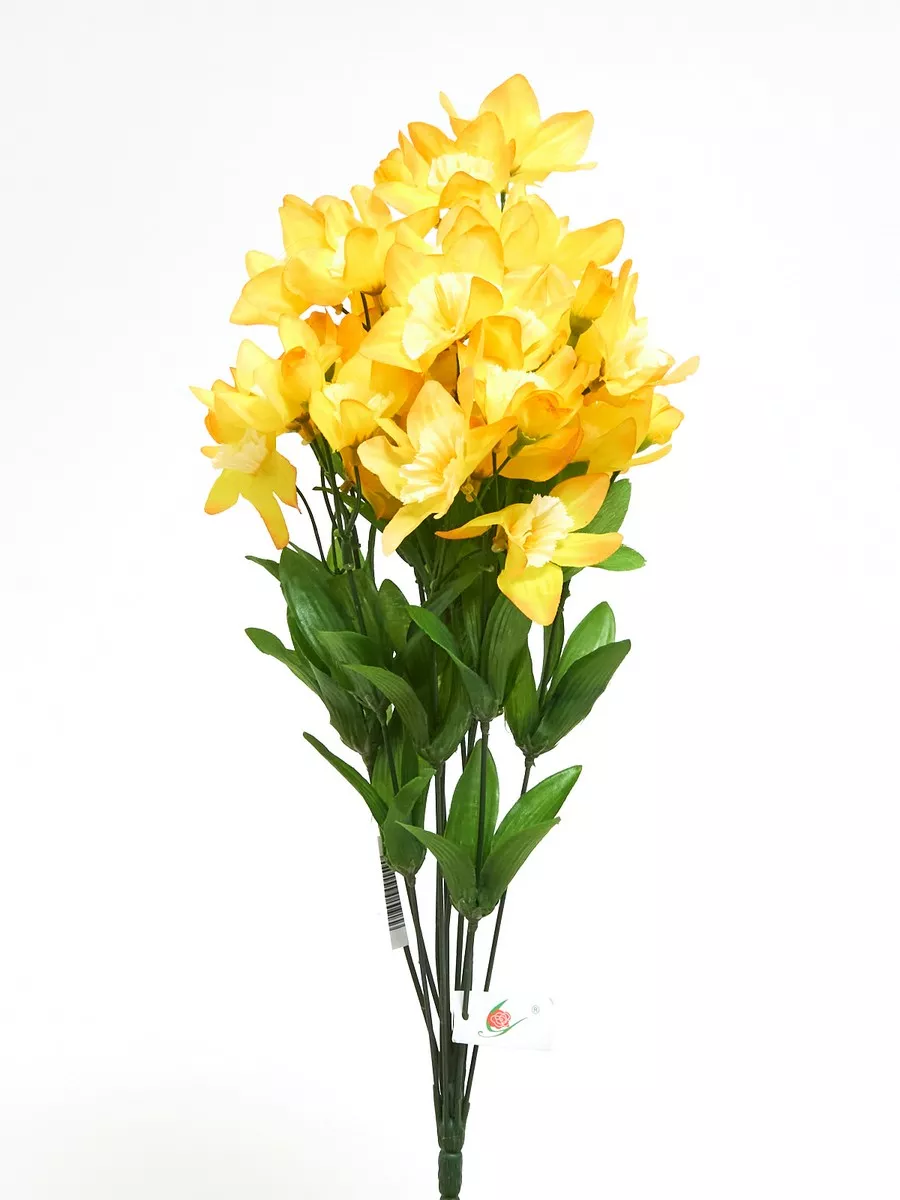 Нарцисс букет 1981  Интернет-магазин Feron Flower 