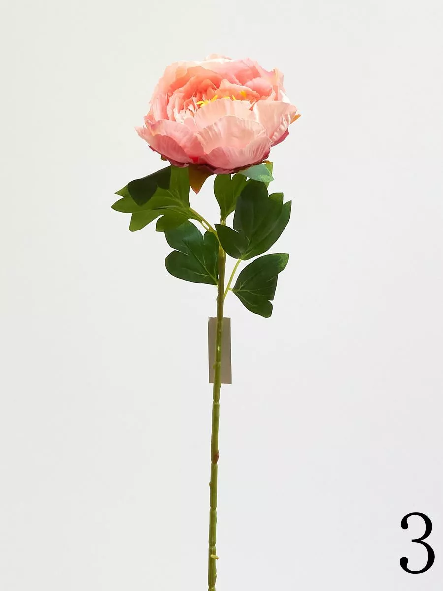 Пион 780088  Интернет-магазин Feron Flower 