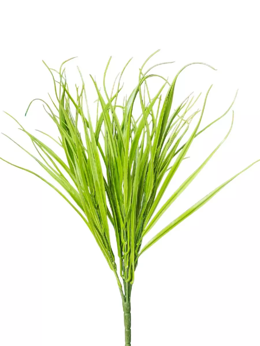 Осока 153463  Интернет-магазин Feron Flower 