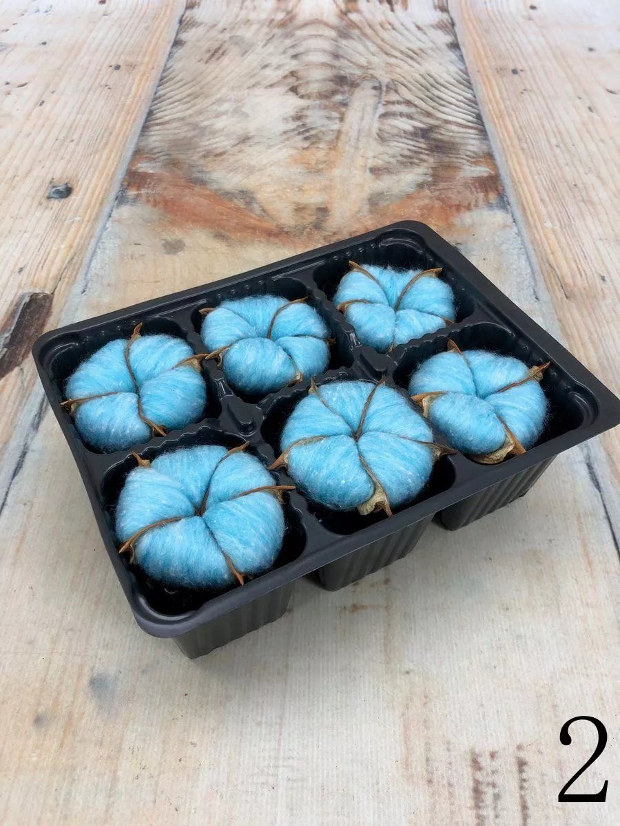 Хлопок натуральный упаковка  Интернет-магазин Feron Flower 