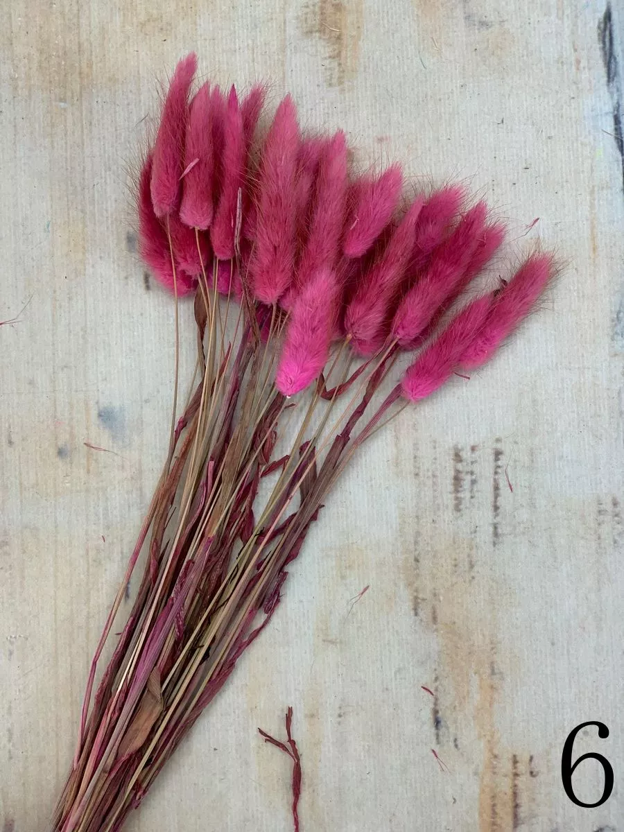 Лагурус 30 веток MIX  Интернет-магазин Feron Flower 