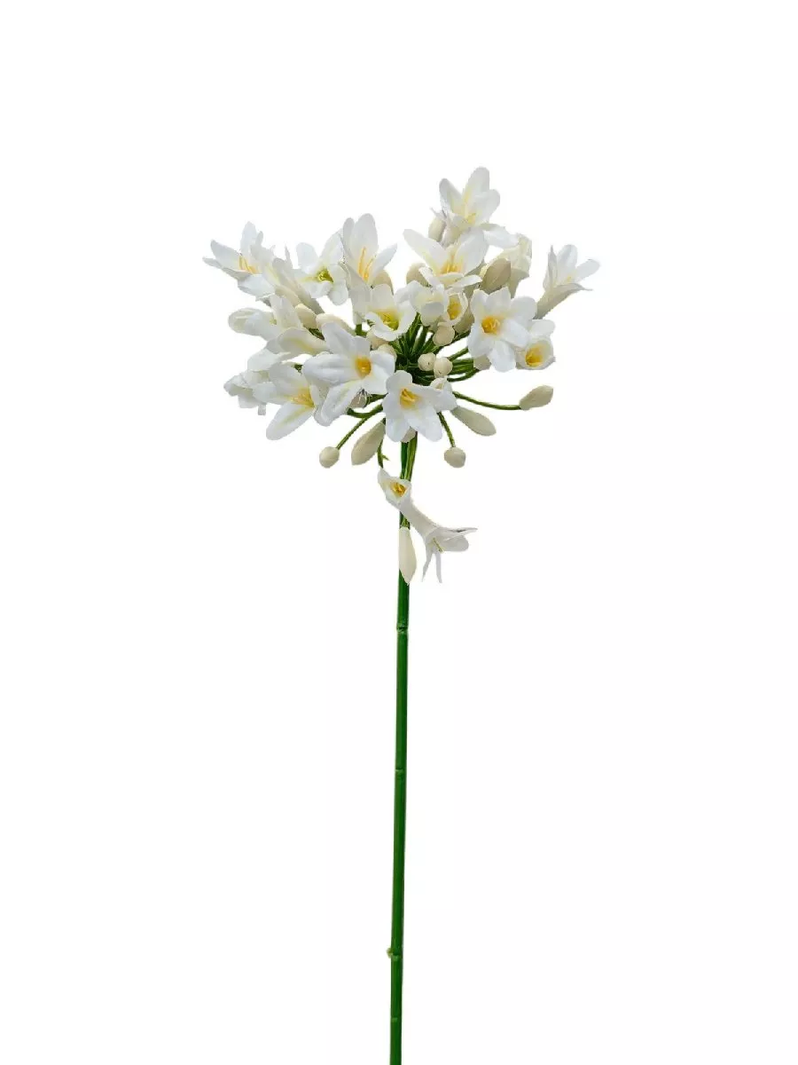 Лук REN-225 белый   Интернет-магазин Feron Flower 