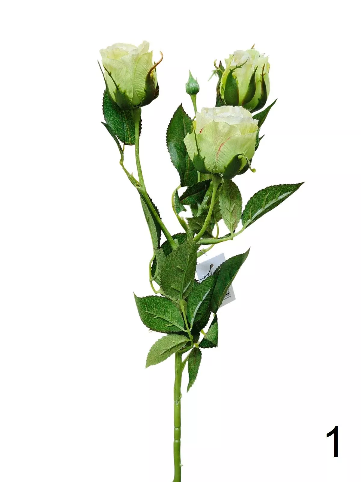 Роза SUN544  Интернет-магазин Feron Flower 