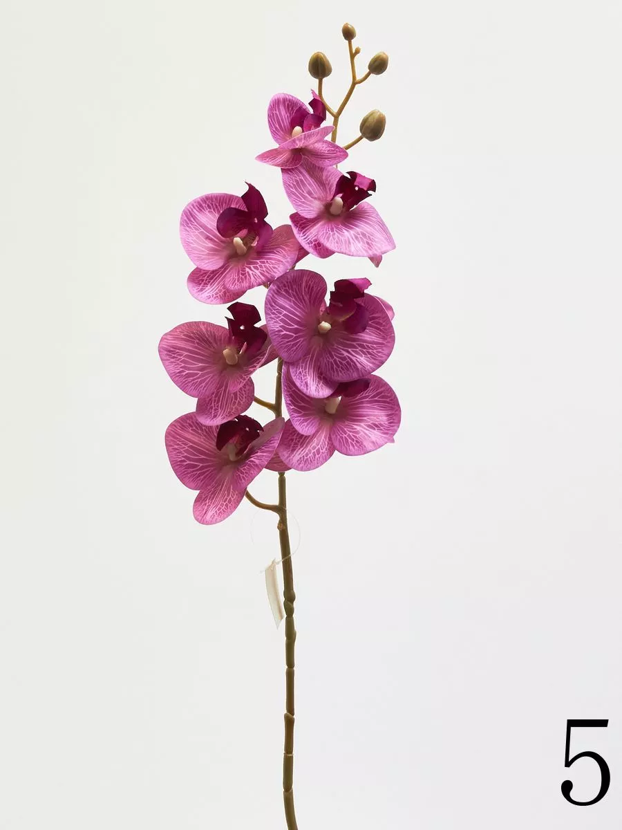 Орхидея 210157  Интернет-магазин Feron Flower 