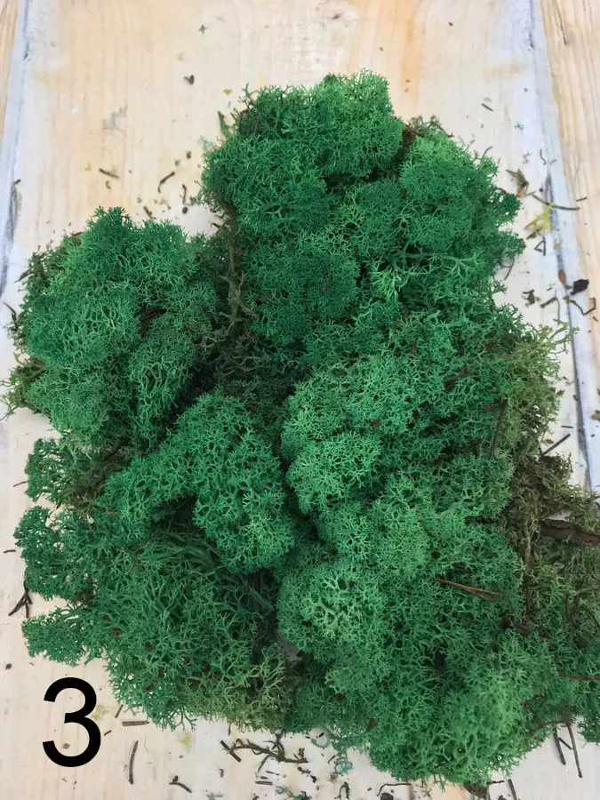 Мох L500   Интернет-магазин Feron Flower 