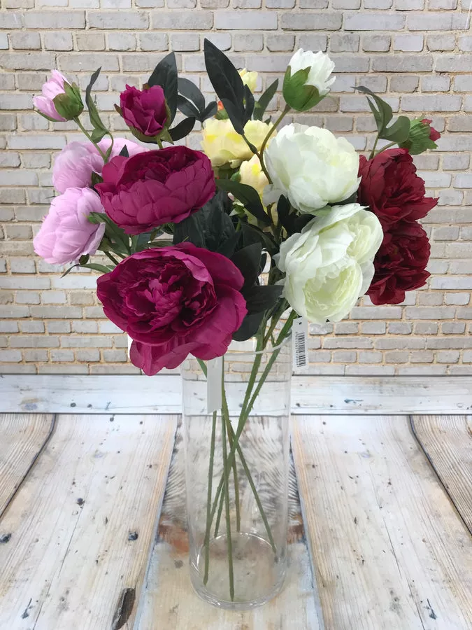 Пион FG-YH-MD  Интернет-магазин Feron Flower 