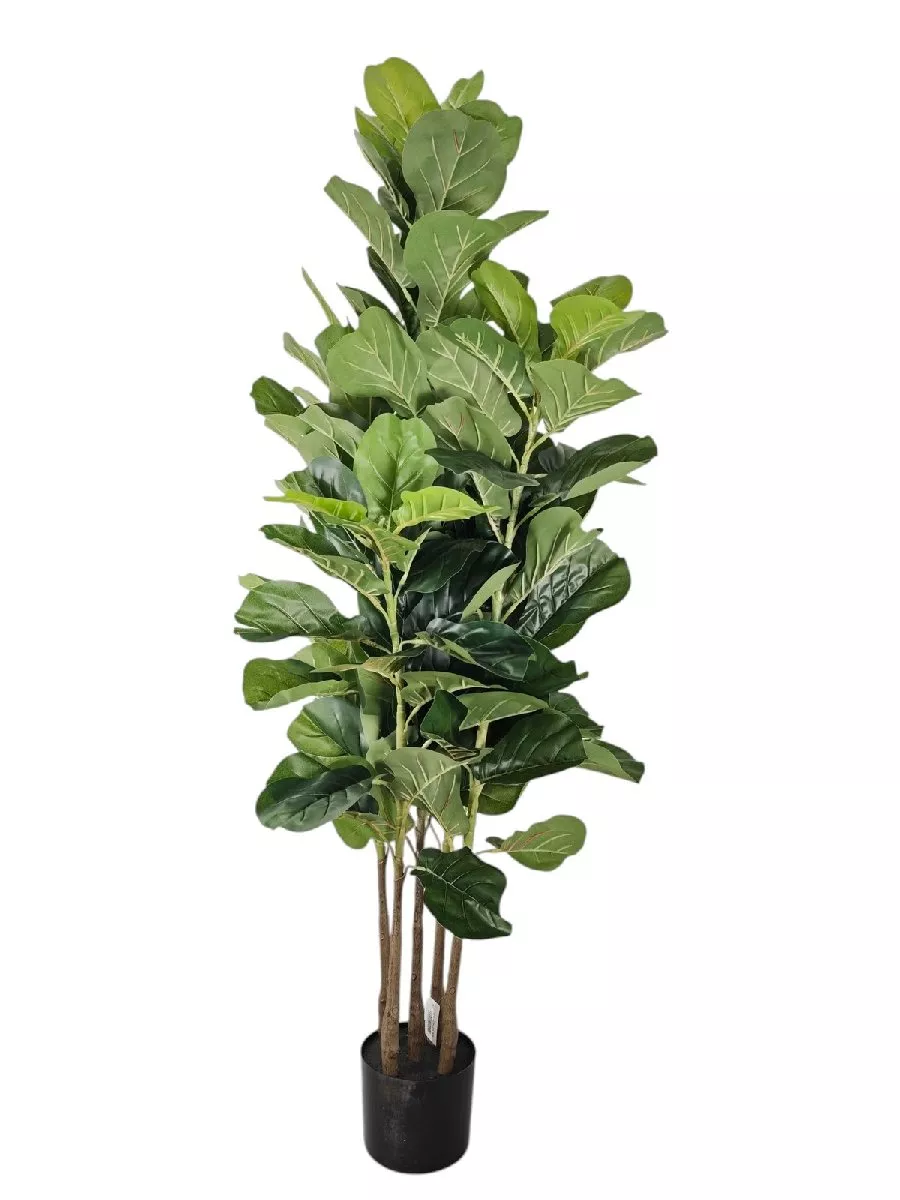 Фикус FL-QH139  Интернет-магазин Feron Flower 