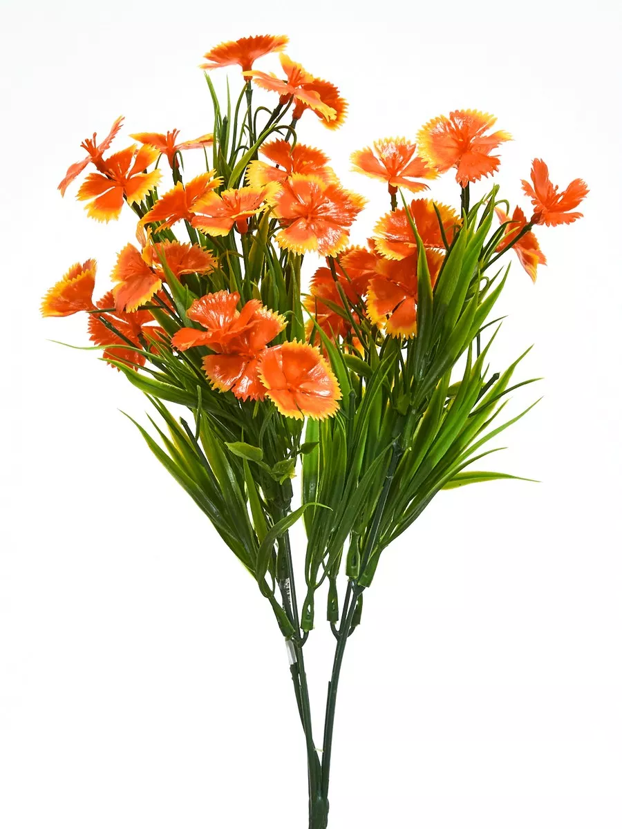 Гвоздика букет 15341  Интернет-магазин Feron Flower 