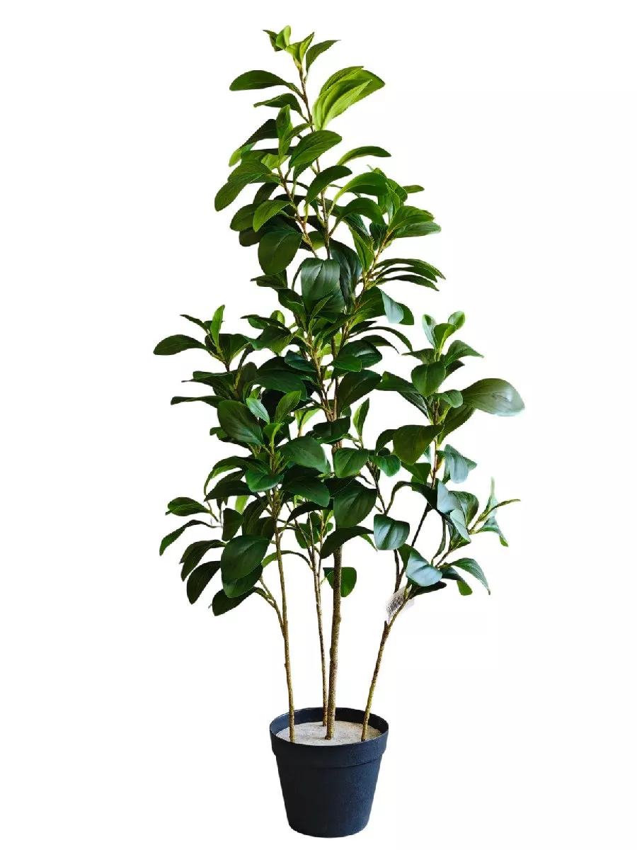 Фикус 9259-1336  Интернет-магазин Feron Flower 