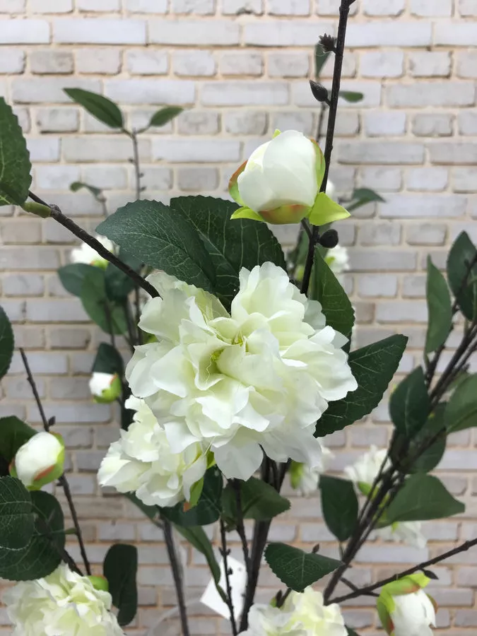 Пион K3679  Интернет-магазин Feron Flower 