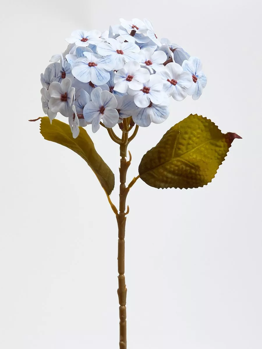 Гортензия K04234  Интернет-магазин Feron Flower 
