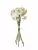 Нарцисс 132255  Интернет-магазин Feron Flower 