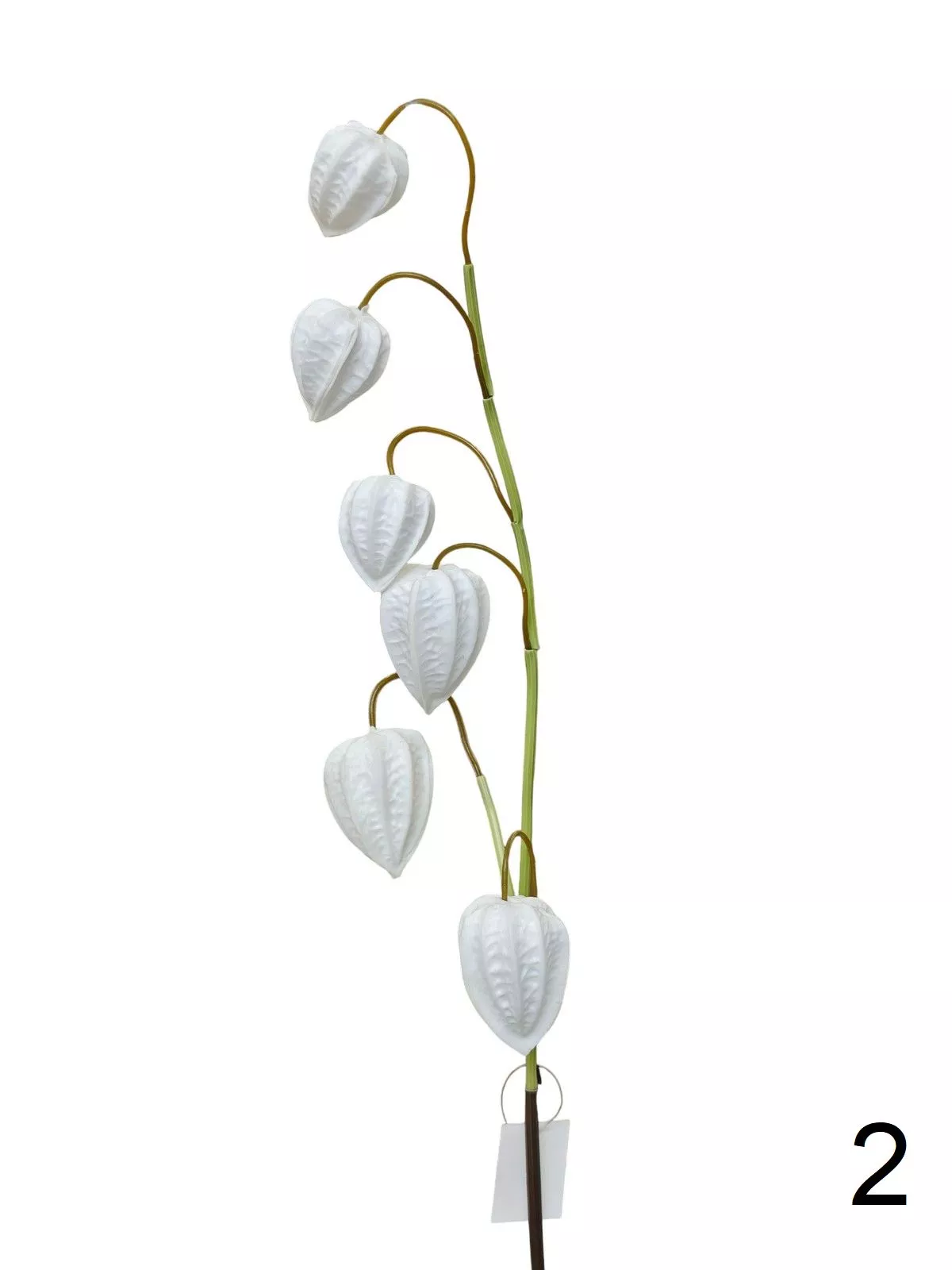 Физалис 9144-1321  Интернет-магазин Feron Flower 