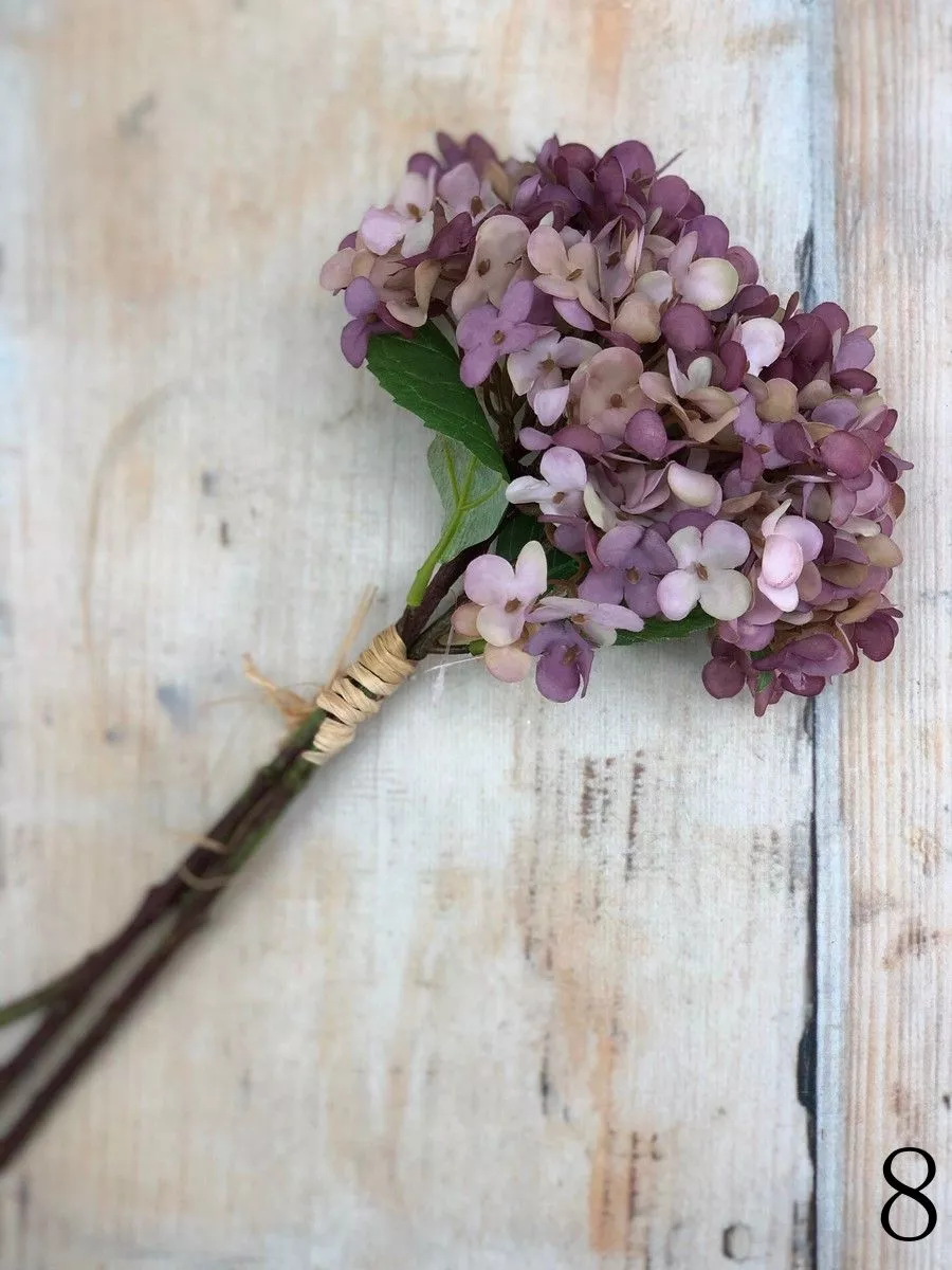 Гортензия бук DY14-36A  Интернет-магазин Feron Flower 