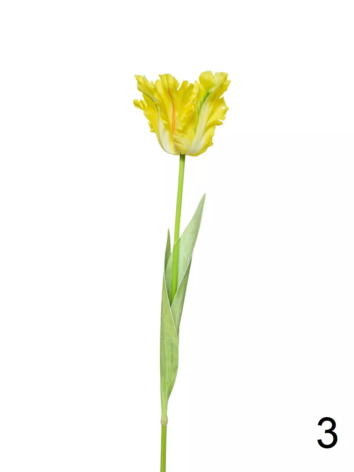 Тюльпан 9144-1324  Интернет-магазин Feron Flower 