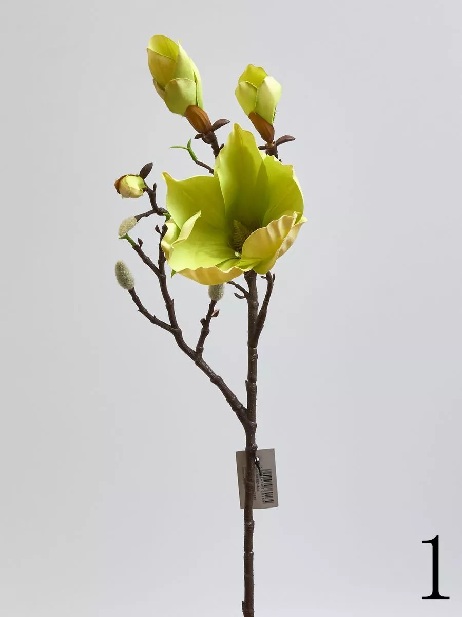 Магнолия SUN404  Интернет-магазин Feron Flower 