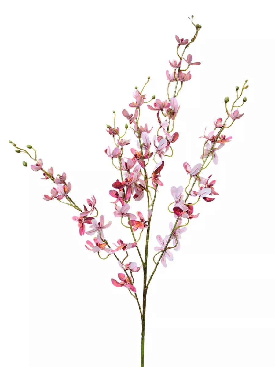 Орхидея  9144-1340  Интернет-магазин Feron Flower 