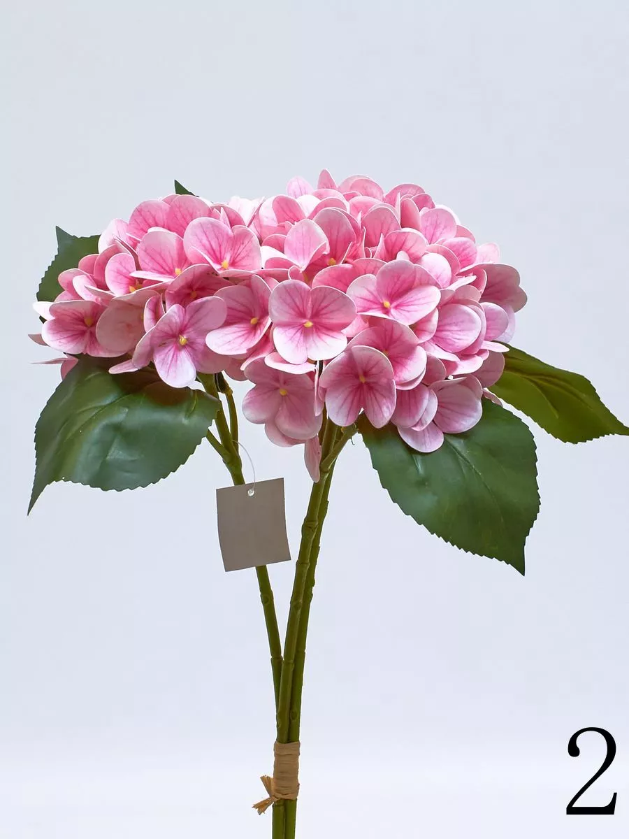 Гортензия K03980  Интернет-магазин Feron Flower 