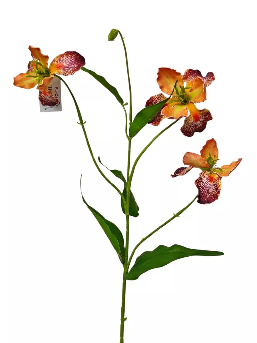 Ирис FL-QH164  Интернет-магазин Feron Flower 