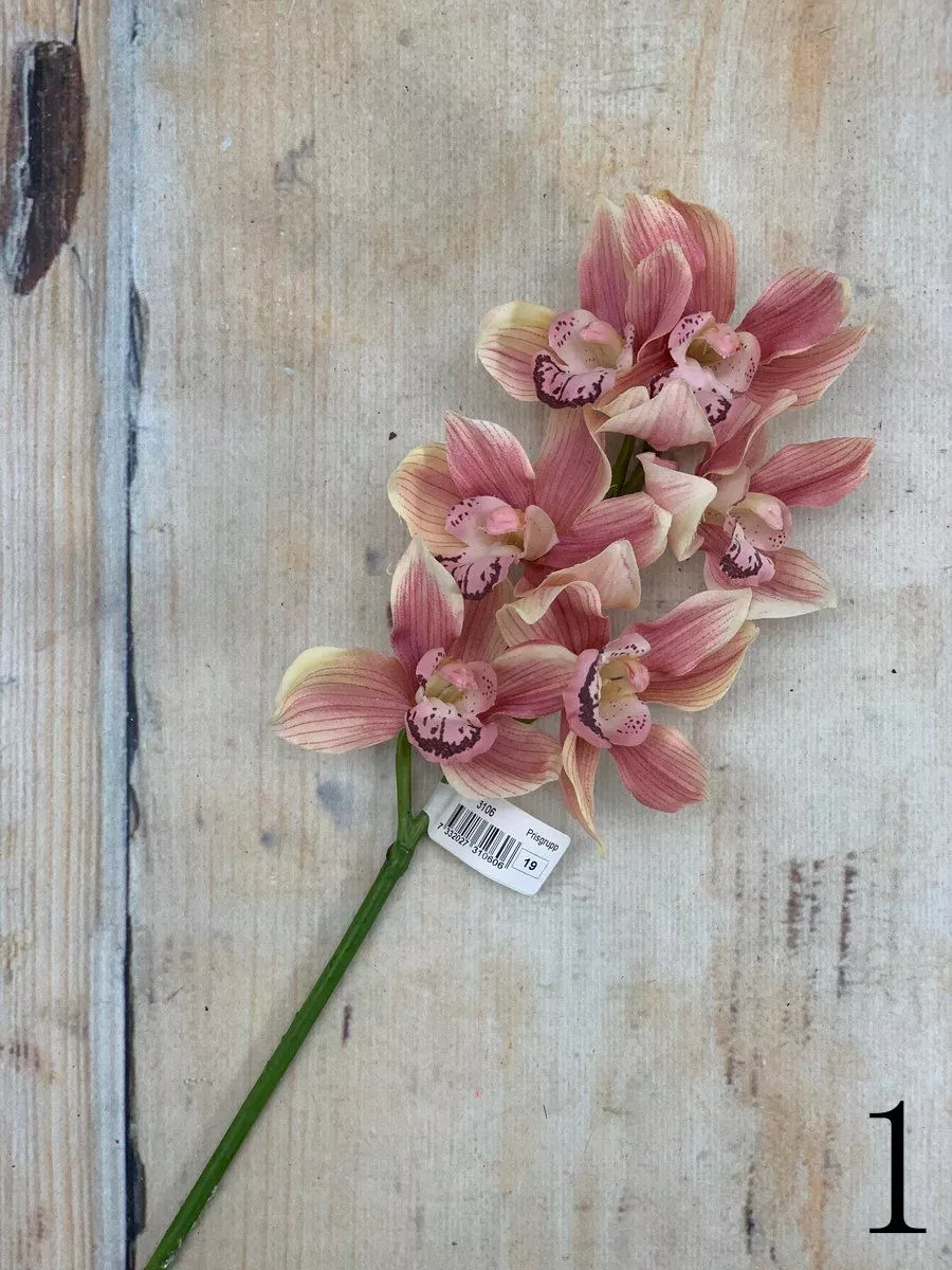 Орхидея 3106  Интернет-магазин Feron Flower 