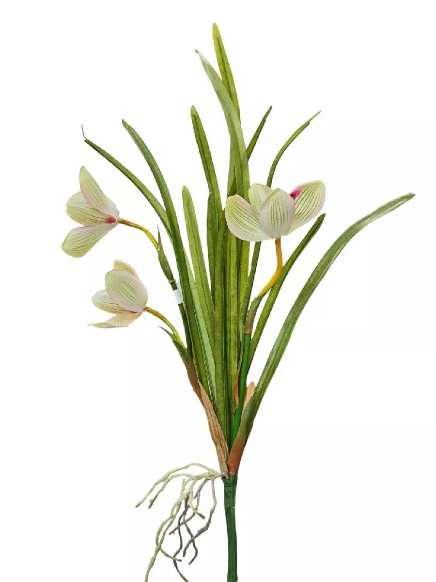 Орхидея 6186  Интернет-магазин Feron Flower 