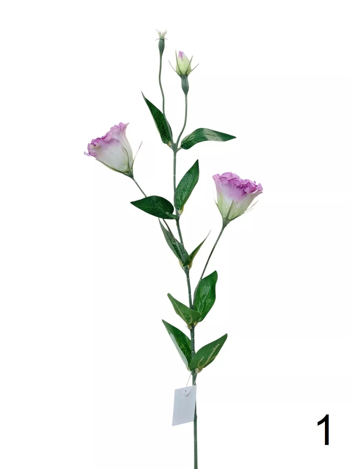 Эустома FL-QH166  Интернет-магазин Feron Flower 